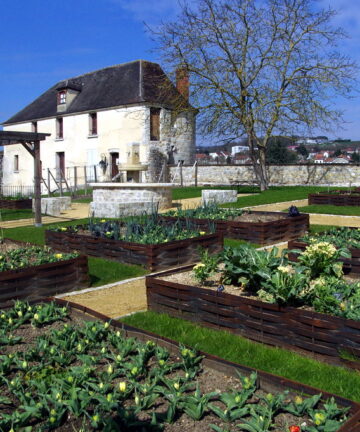 Visita Guiada Château Thierry