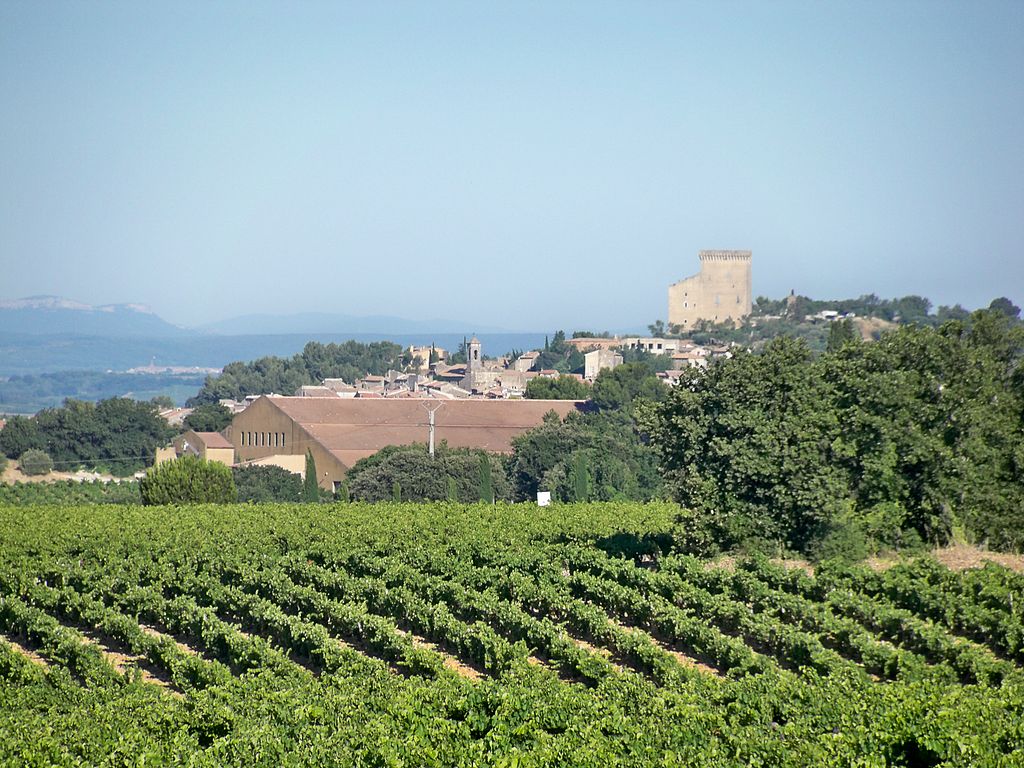 Guía Châteauneuf du Pape