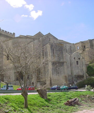 Guía Abbaye de Montmajour 