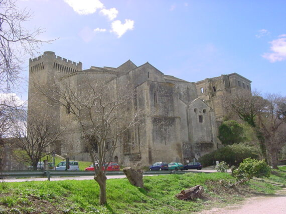 Guía Abbaye de Montmajour 