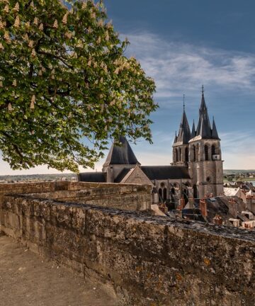 Excursion Blois