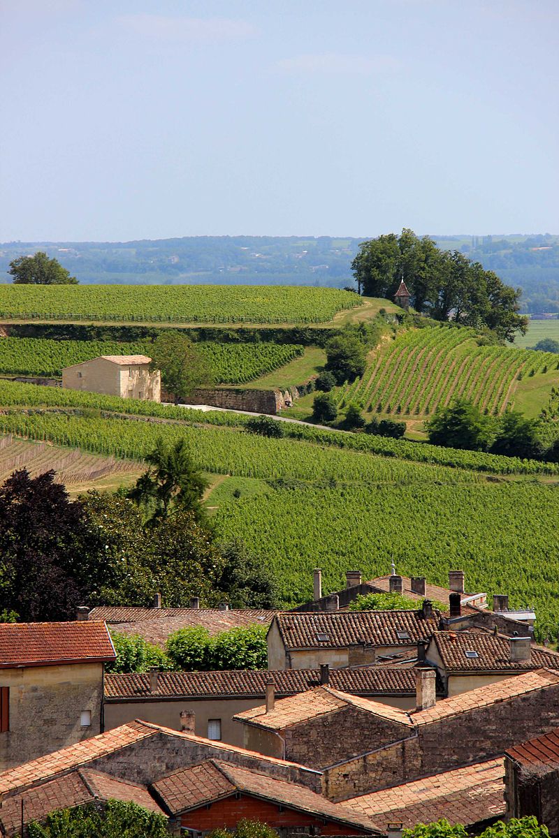 excursion Saint Emilion