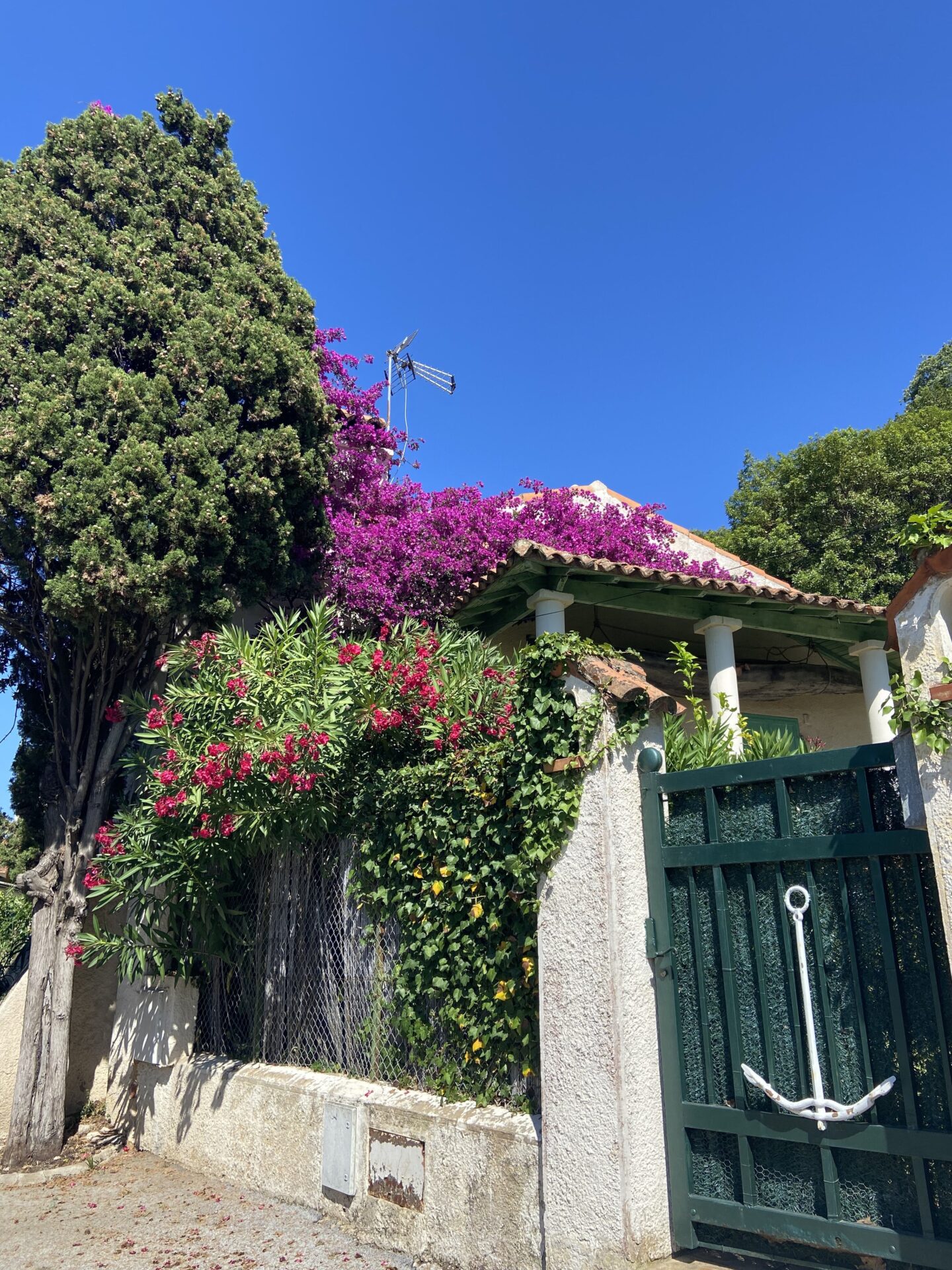 Visite Guidée de Cannes