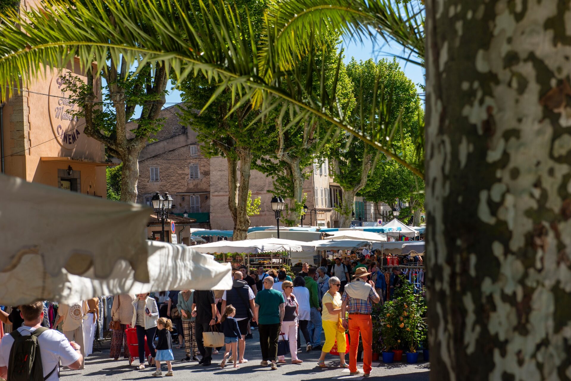 Guía Salernes, Visita de Salernes