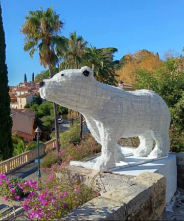 Excursion a Bormes les Mimosas, Saint Tropez Crucero