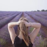 Marseille, Campos de Lavanda