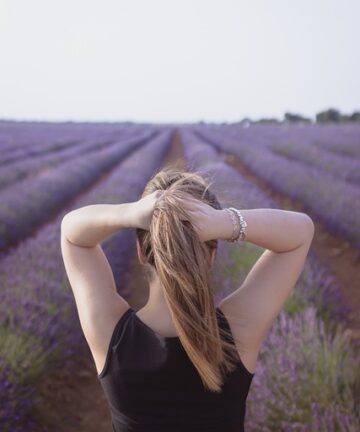 Marseille, Campos de Lavanda