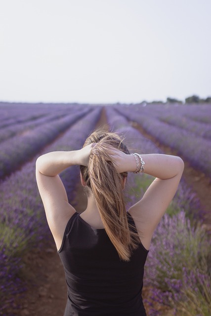 Marseille, Campos de Lavanda
