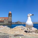 Visitar Collioure