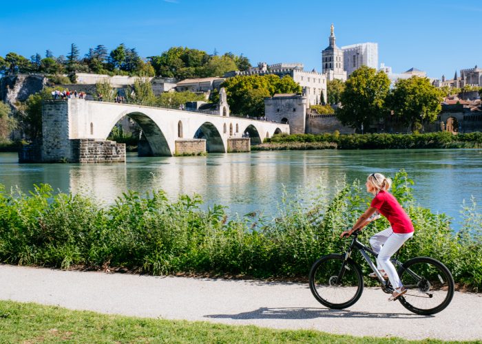 Visita de Avignon, Aviñón, Guía Aviñón, Guia Turistico Avignon